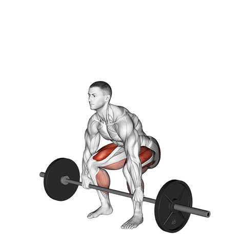 lower back pain from deadlifting