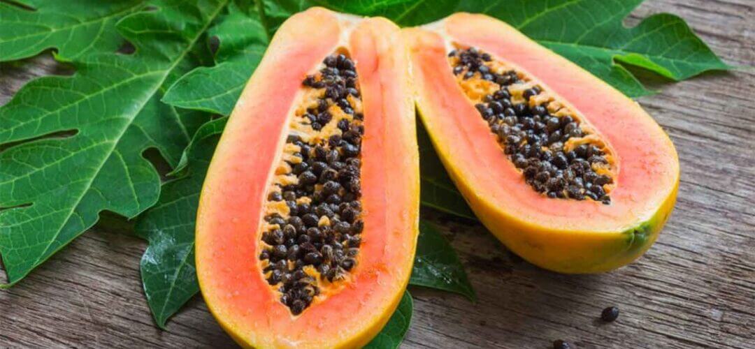 papaya seed benefits