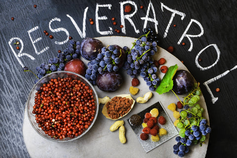 Grapes, peanuts, cocoa, berries on the ground with a word "Resveratrol"
