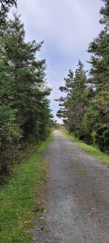 The Atlantic View Trail 