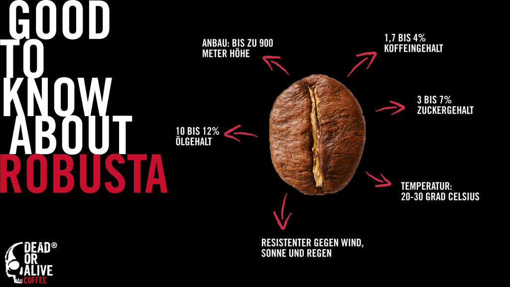 robusta kaffeebohnen