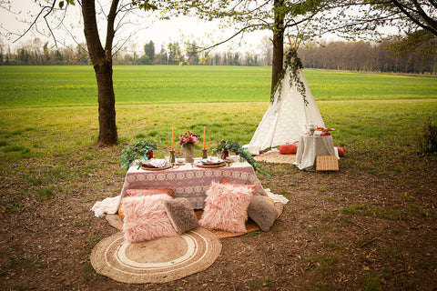 tea party picnic set up