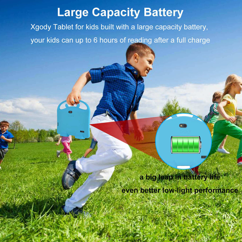 Large Capacity Battery