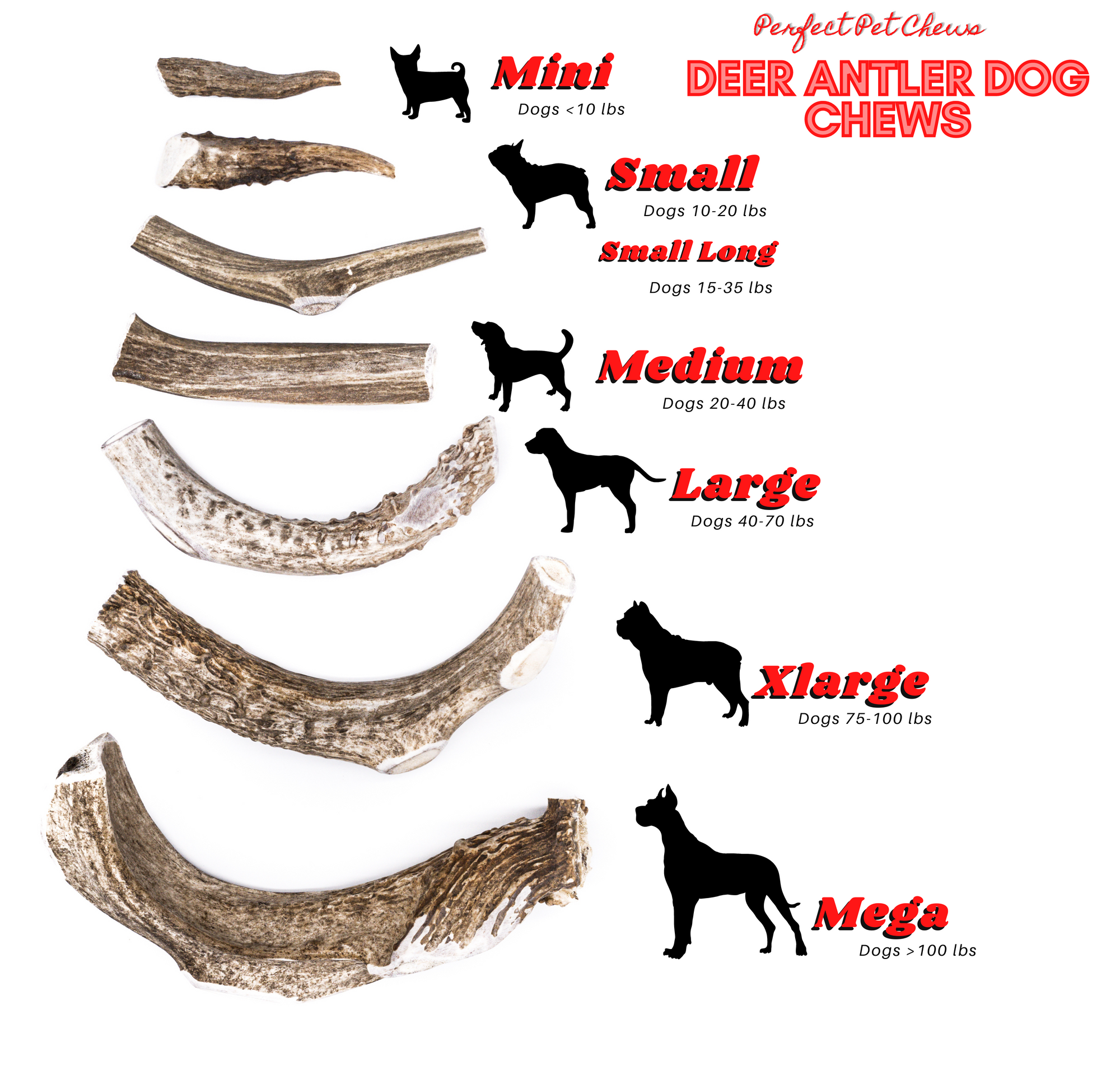 can dogs chew on deer bones