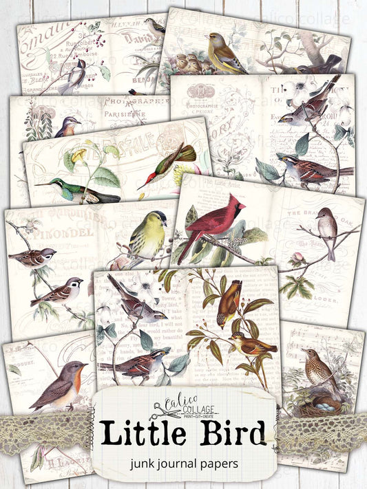 Mua Birds Vintage Ephemera Collage Book For Junk Journals & Papercraft: Collage  Books Art Cut Out Vintage trên  Mỹ chính hãng 2023