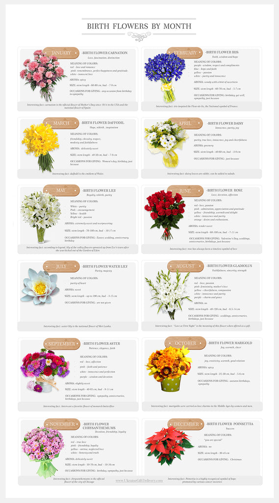 Plant - Birth Flowers by Month