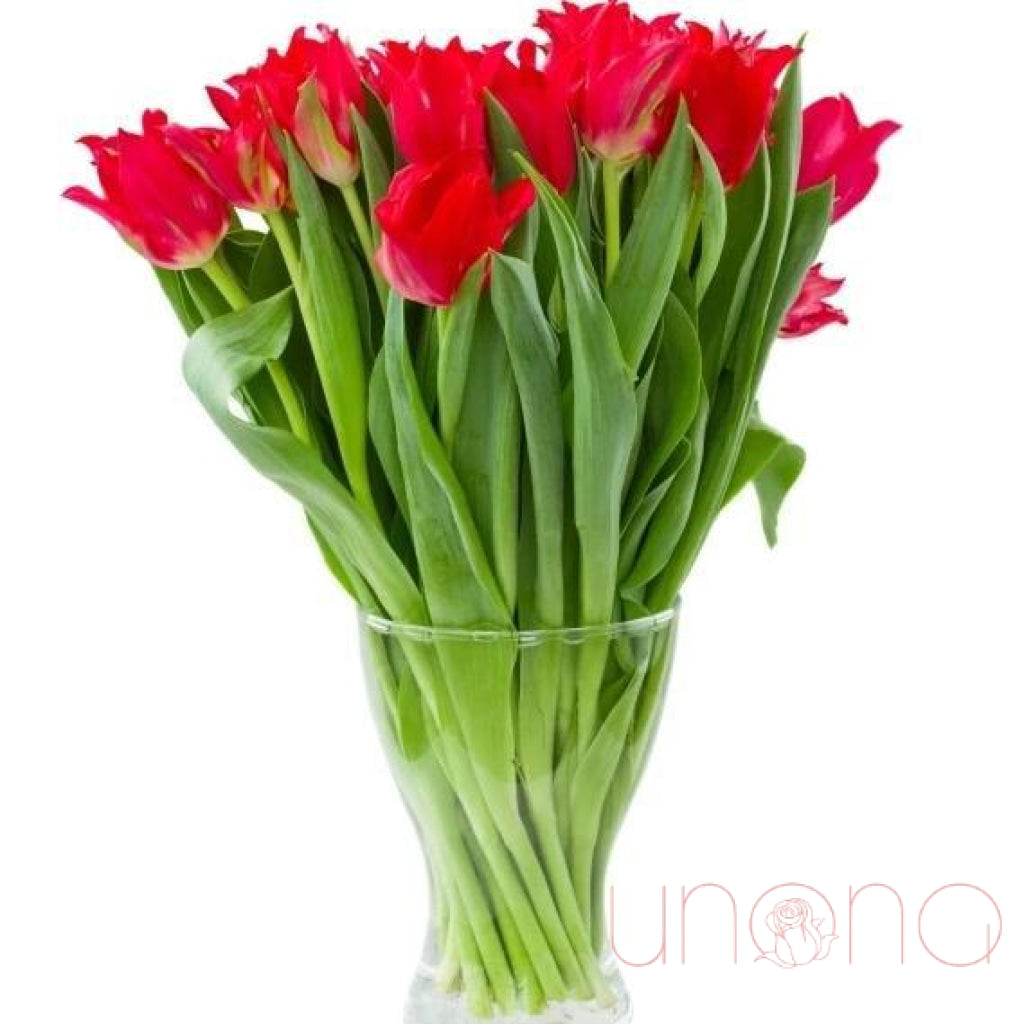 Tempting Tulips Bouquet - red
