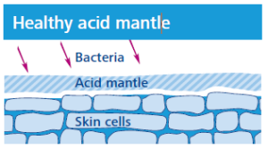 healthy acid mantle