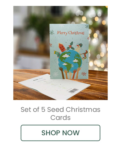Seed Cards