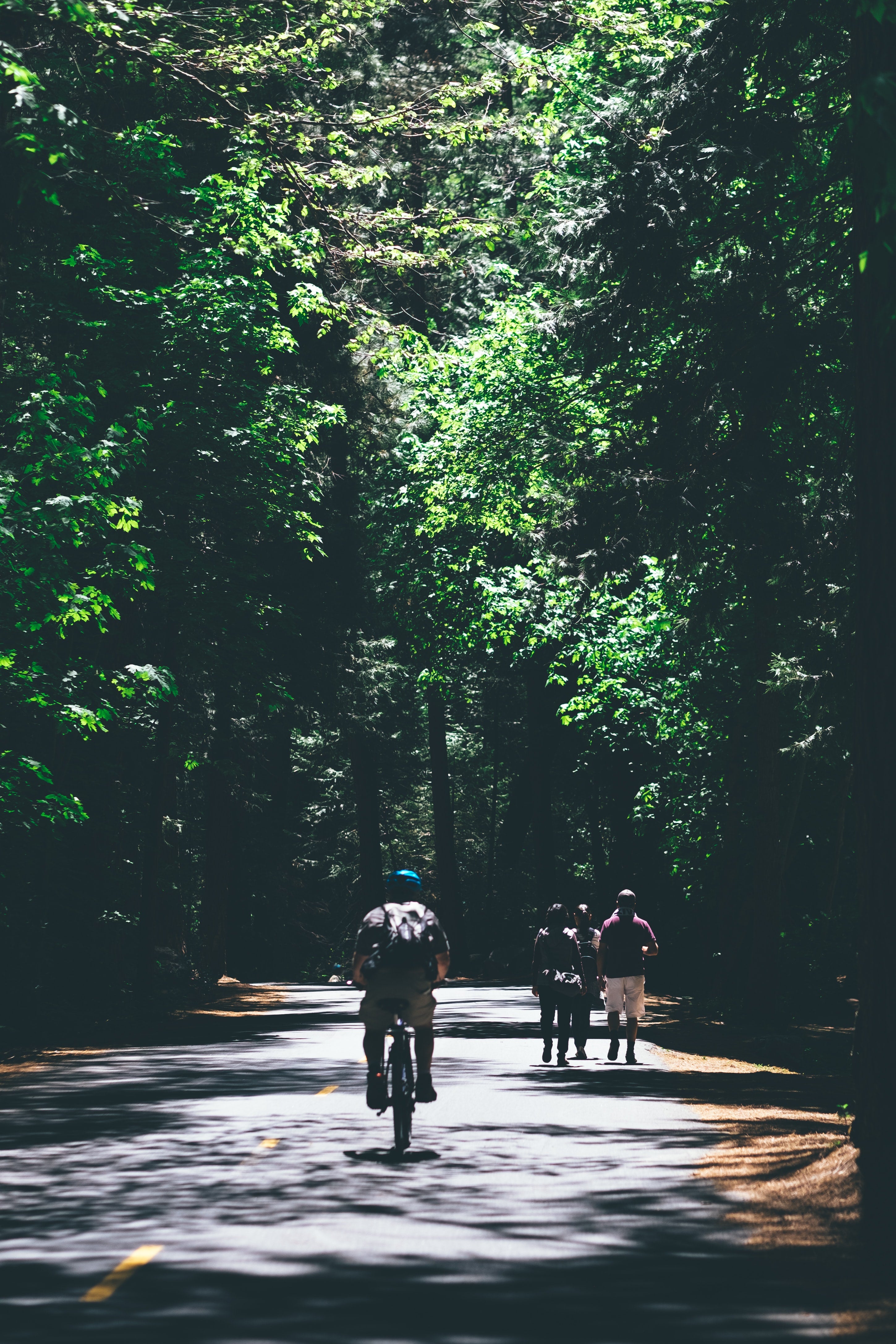 Bike on scenic route