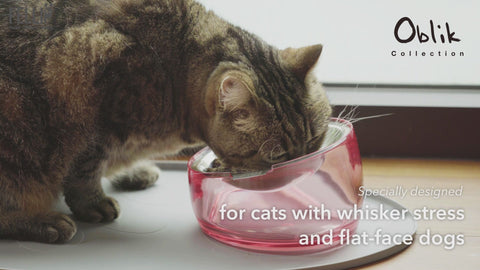 Oblik Shallow - Ergonomic Anti-Whisker Fatigue/Whisker Stress Cat Food Bowl