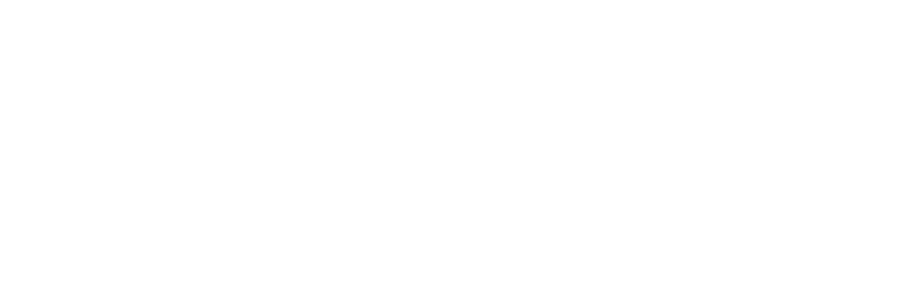 BVital logo