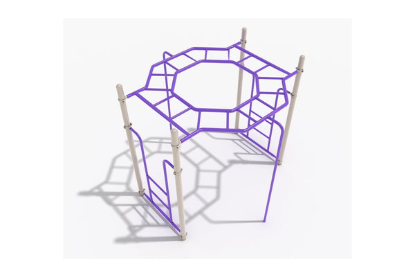 Horizontal Ladder Challenge