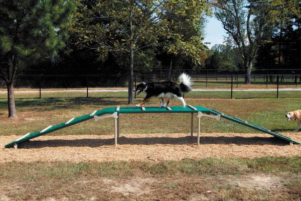 Rover Jump Over Dog Exercise Equipment