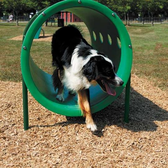 Expert Dog Exercise Course - 9 Activities | WillyGoat Playground & Park Equipment
