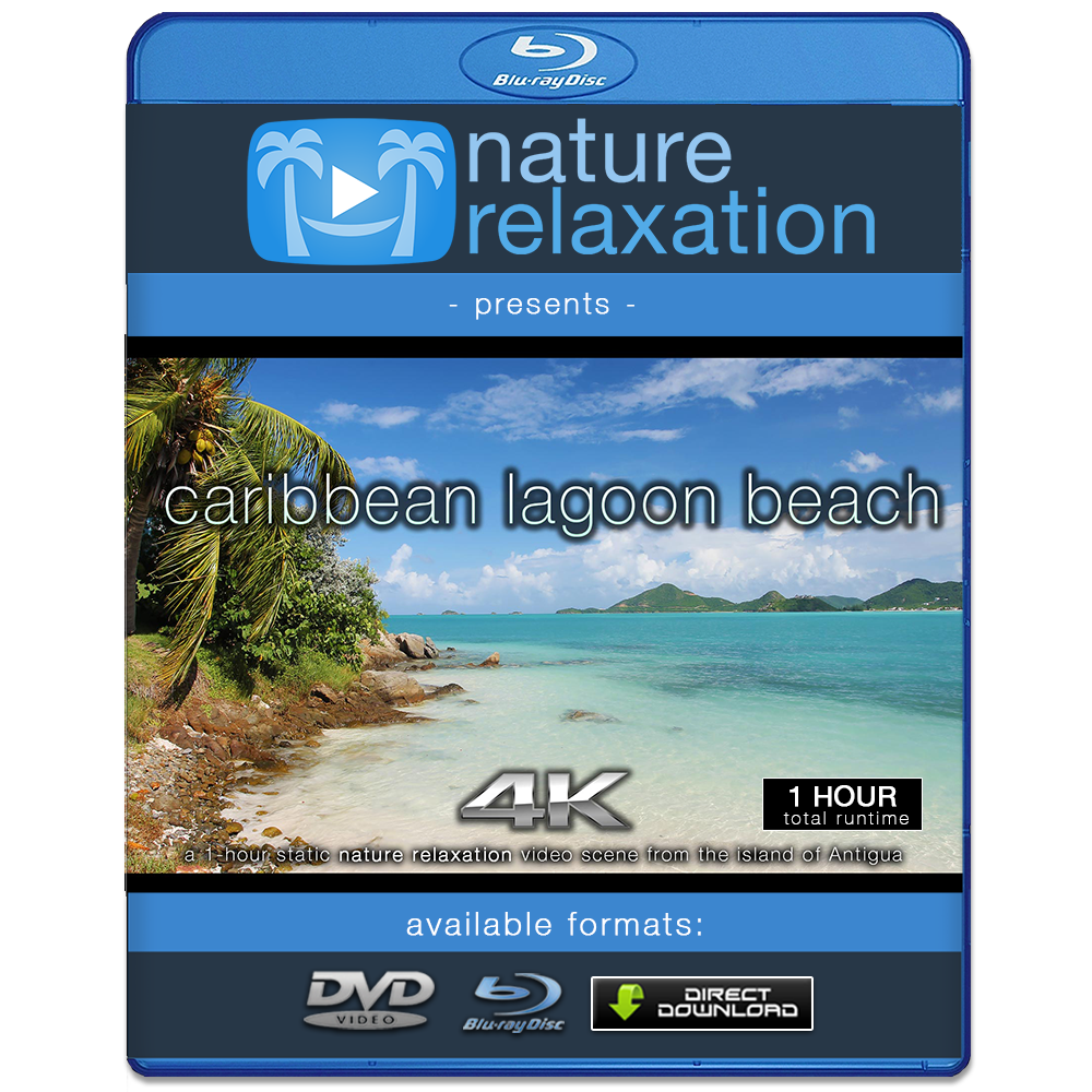 Caribbean Lagoon Beach 1 Hour 4k Static Nature Video Nature Relaxation™ Films By David Huting
