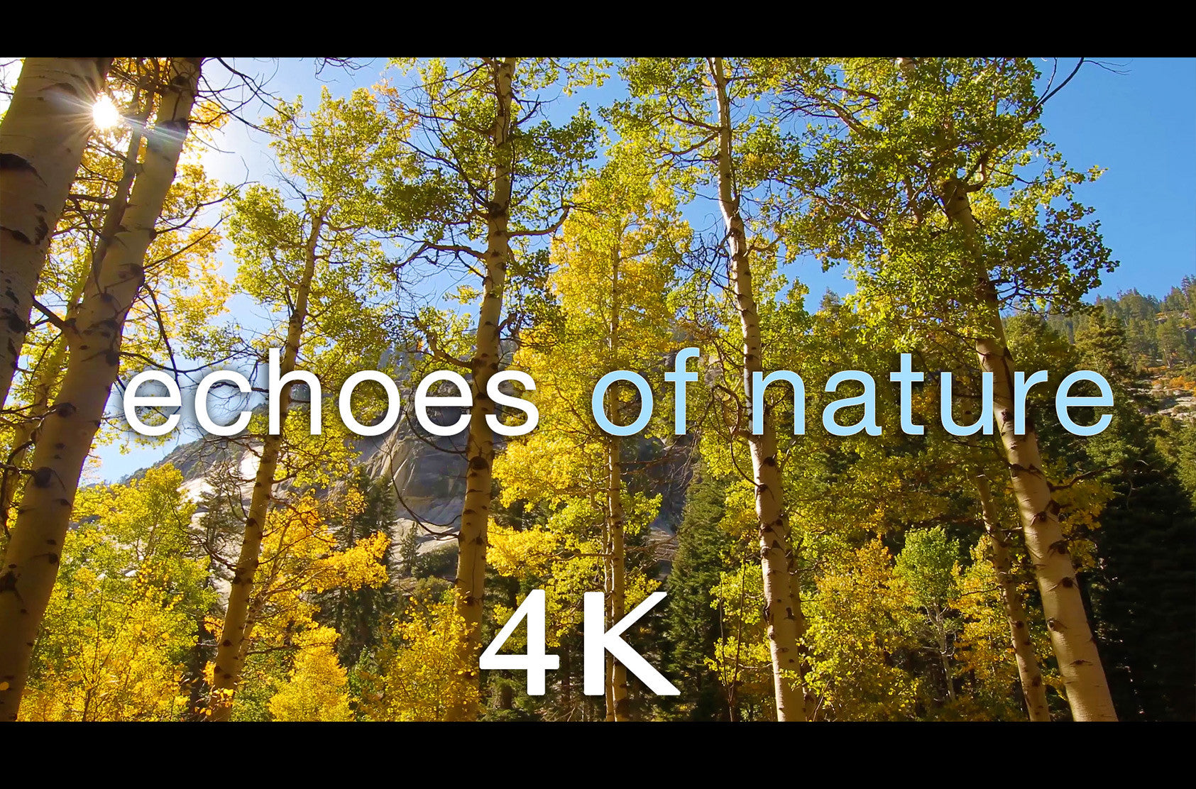 Echoes of Nature" Short 2 Minute Relaxing 4K Video 432HZ – Nature Relaxation™ Films by David Huting