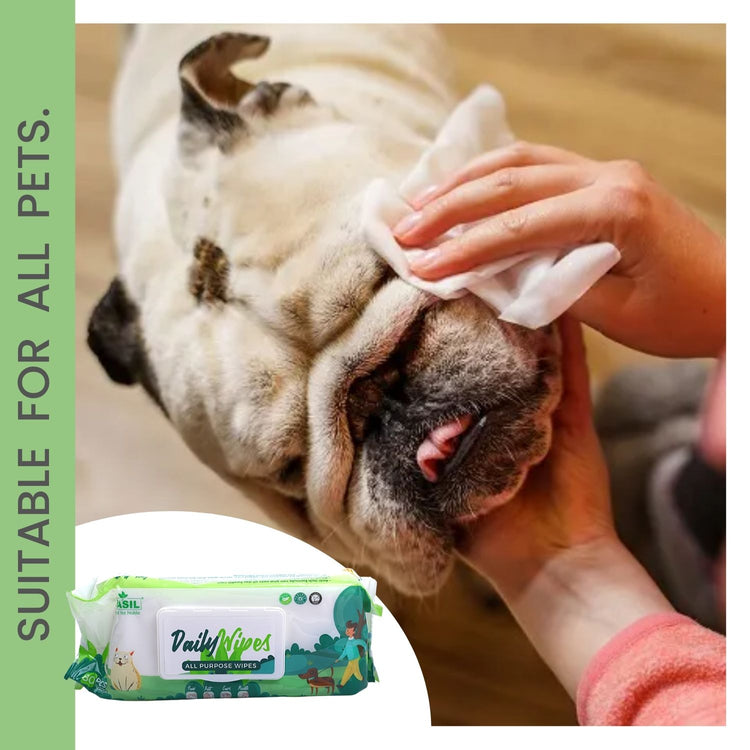 are flushable wipes safe for dogs
