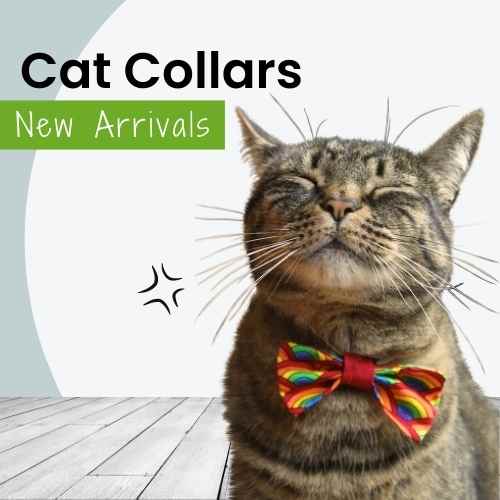 Cat Collars