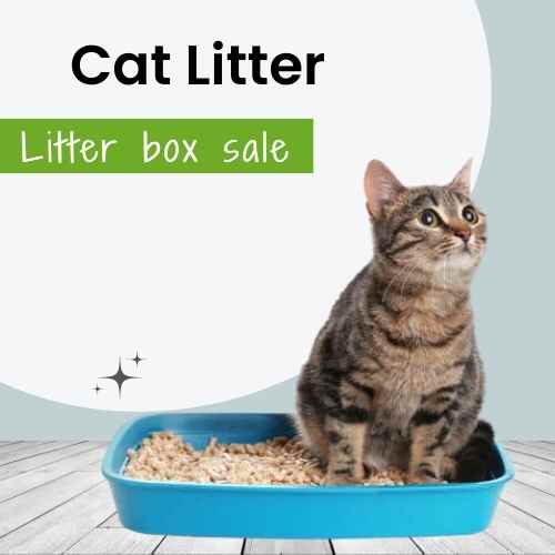 Cat Food for kittens and adult cats