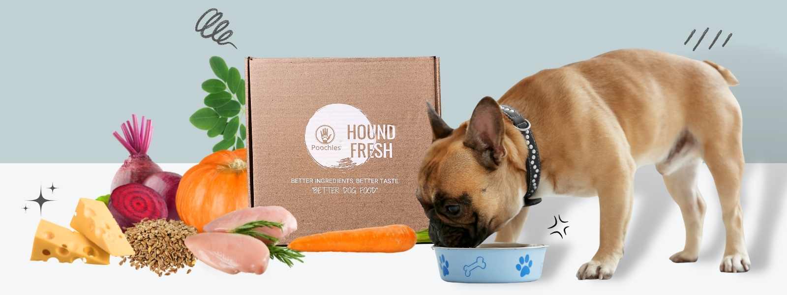 HoundFresh Dog Food