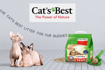 Cat Litter For Your Cats – Poochles India