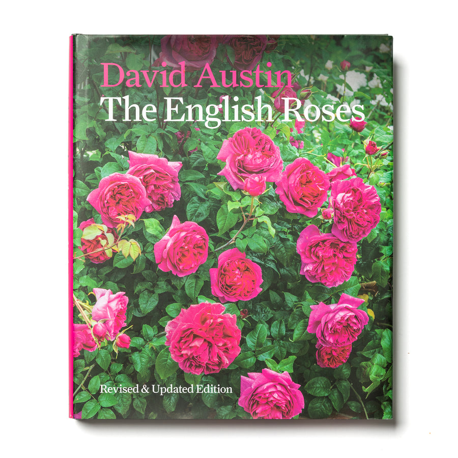 Books Prints Calendar David Austin Roses