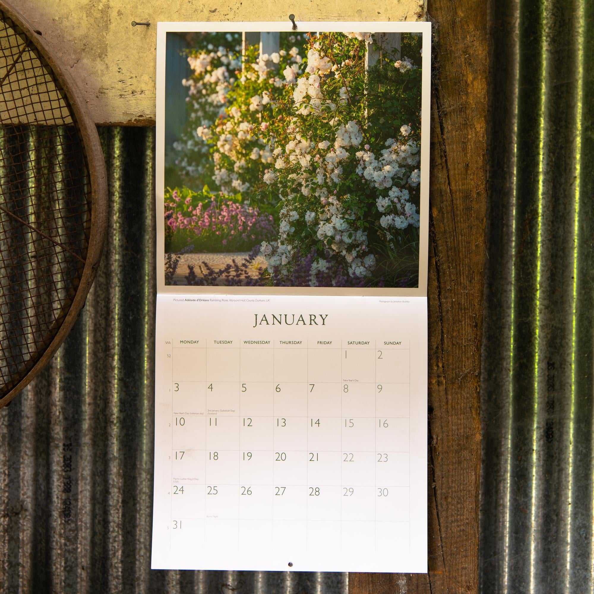 David Austin 2022 Wall Calendar - Calendar - Gifts