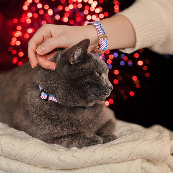 The Bandana Classic Cat Friendship Collar – ArgusCollar