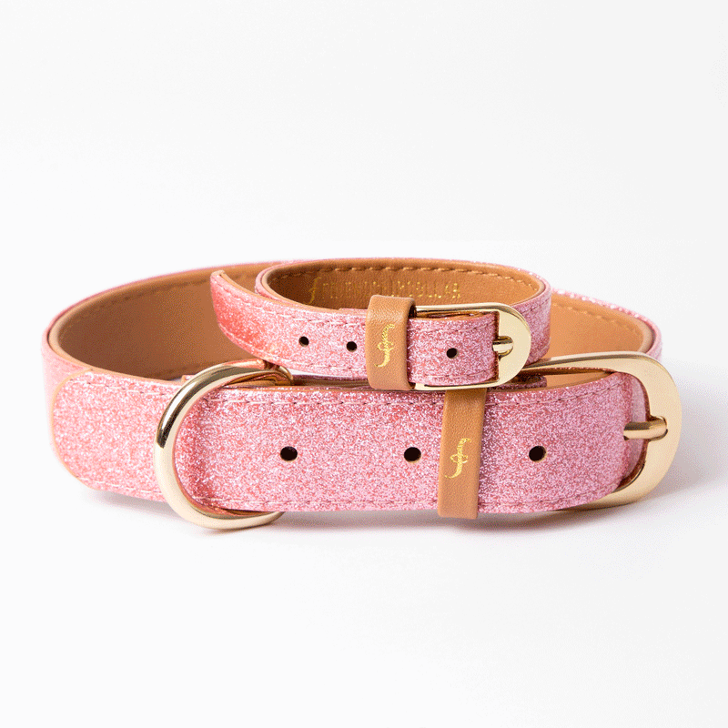 Pawsitively Pink – FriendshipCollar