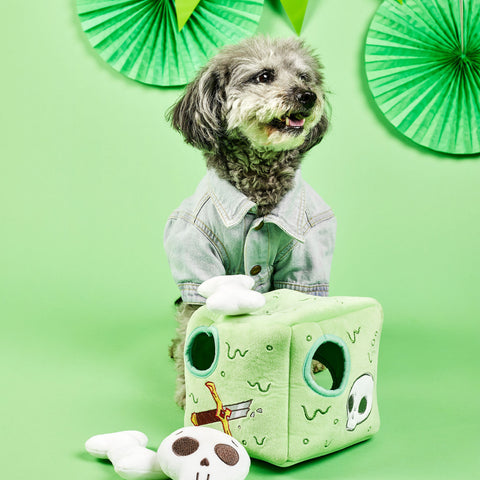 gray poodle with green gelatinous cube plush and bone plush toys