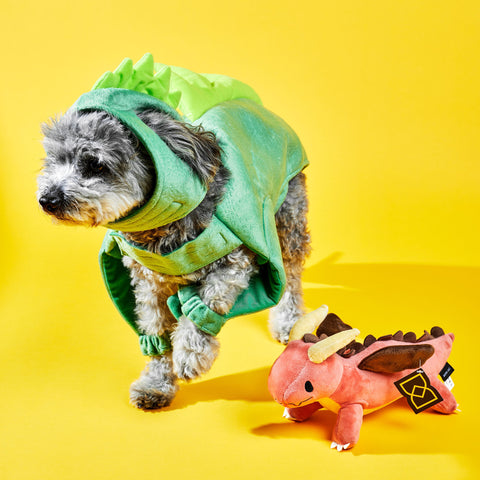 gray poodle dressed as dinosaur playing with red dragon dog toy