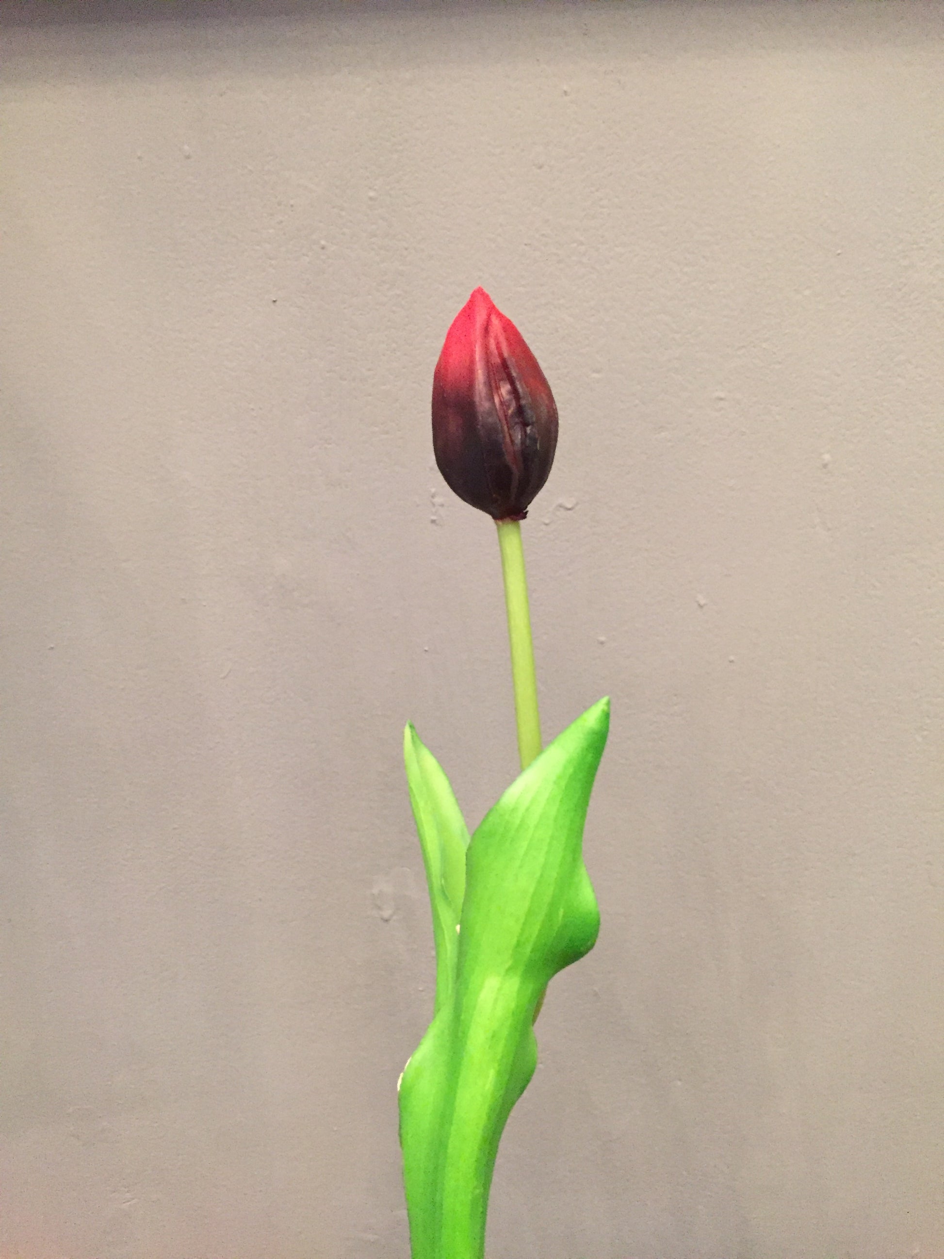 Flor artificial tipo Capullo de Tulipán (por pieza disponible en: Rosa –  Fusion8