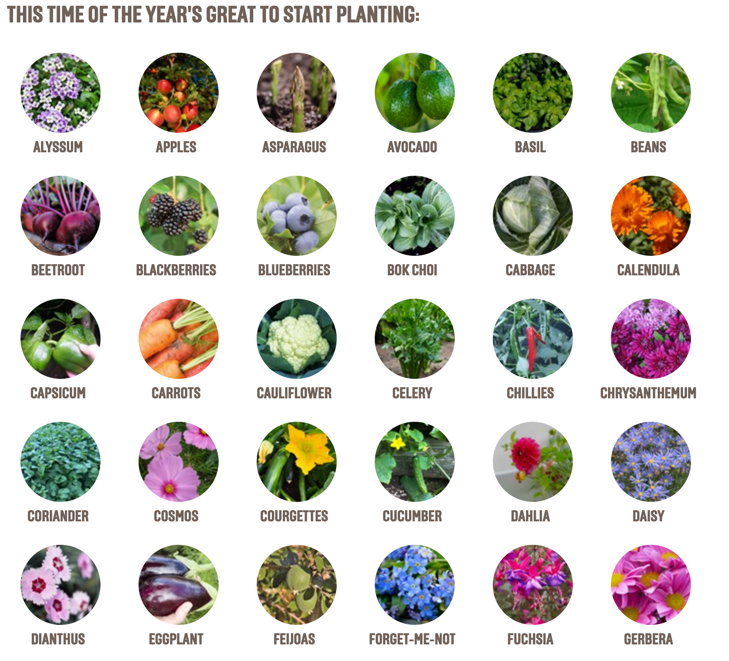 What to plant this season