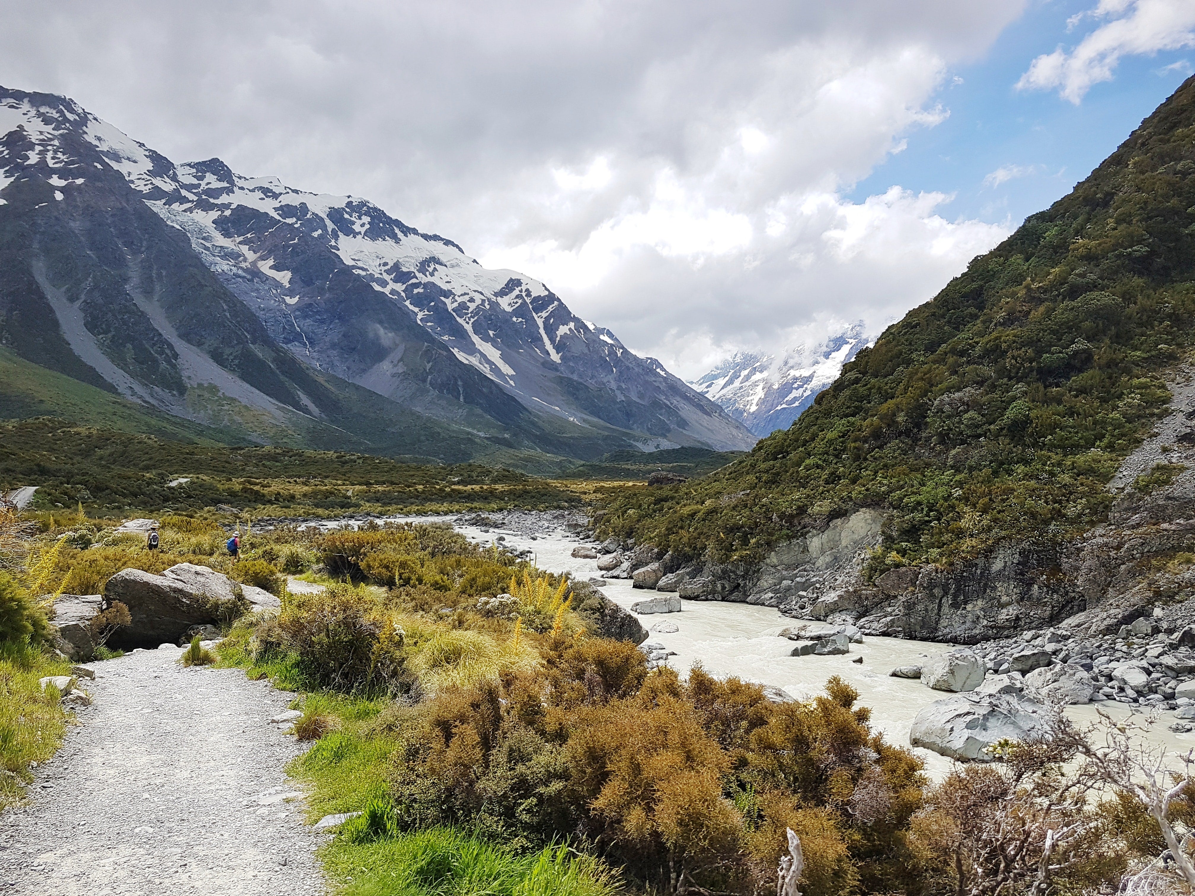 Hooker-Valley-Organico 