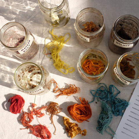 Growing, Gathering, and Dyeing with Plants: Sunday, September 23rd