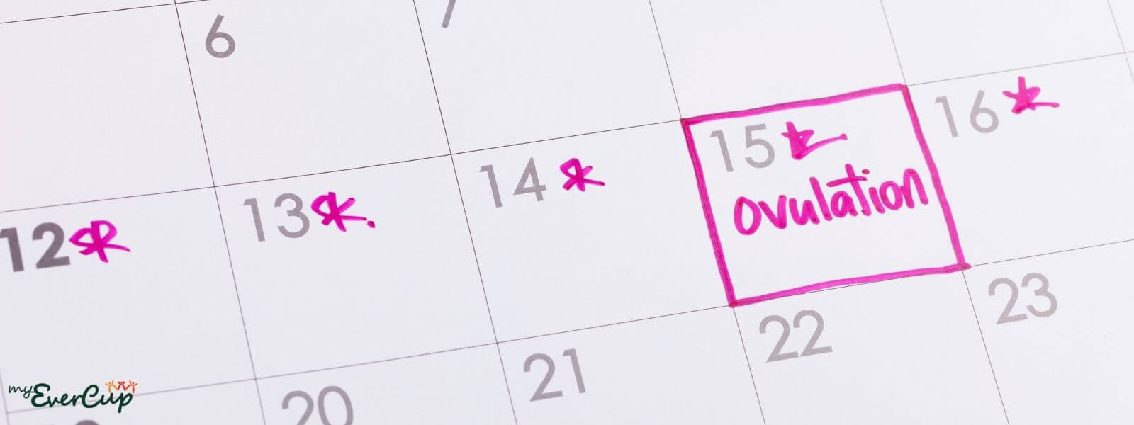 can you get pregnant on your period calendar