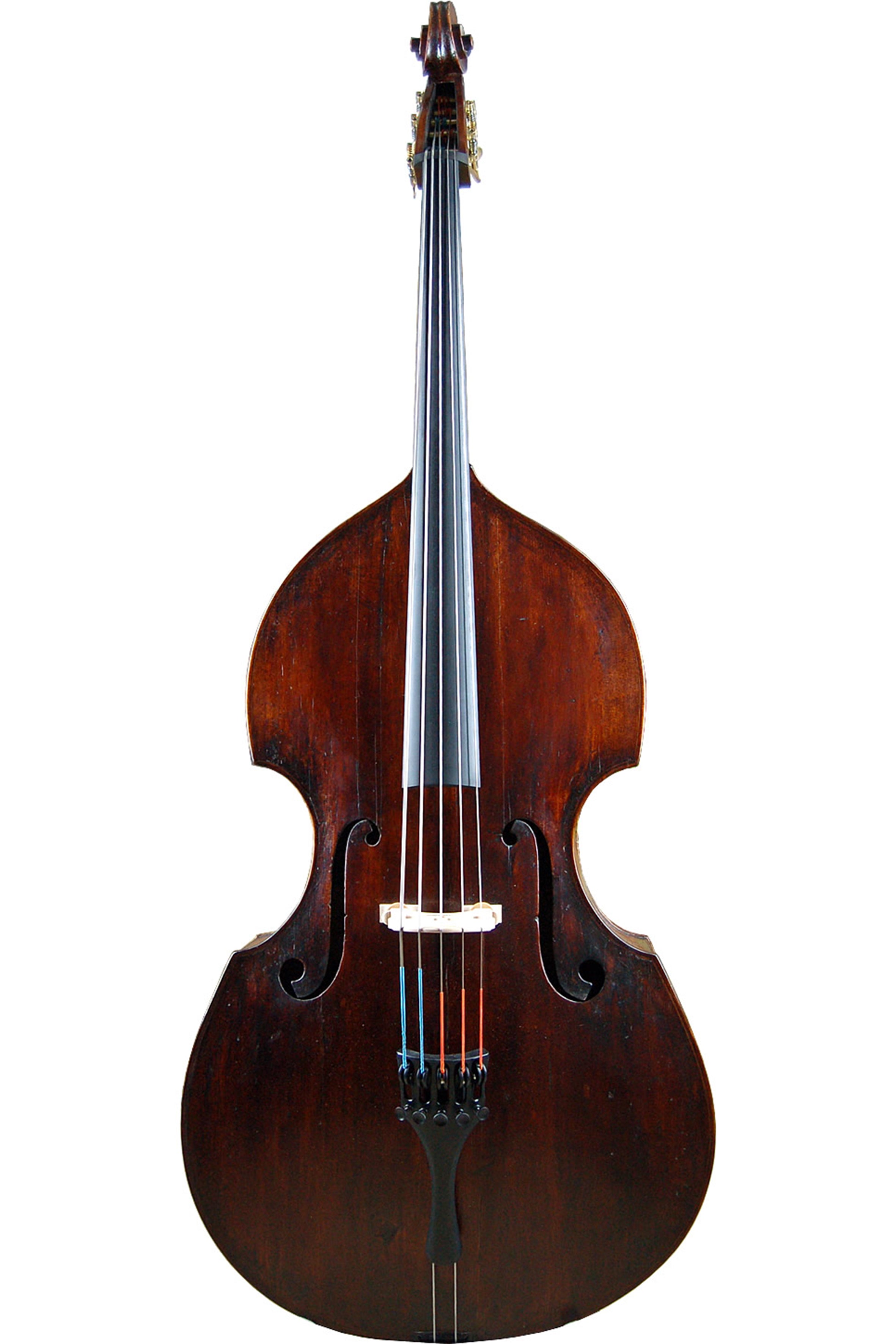 5 string upright bass