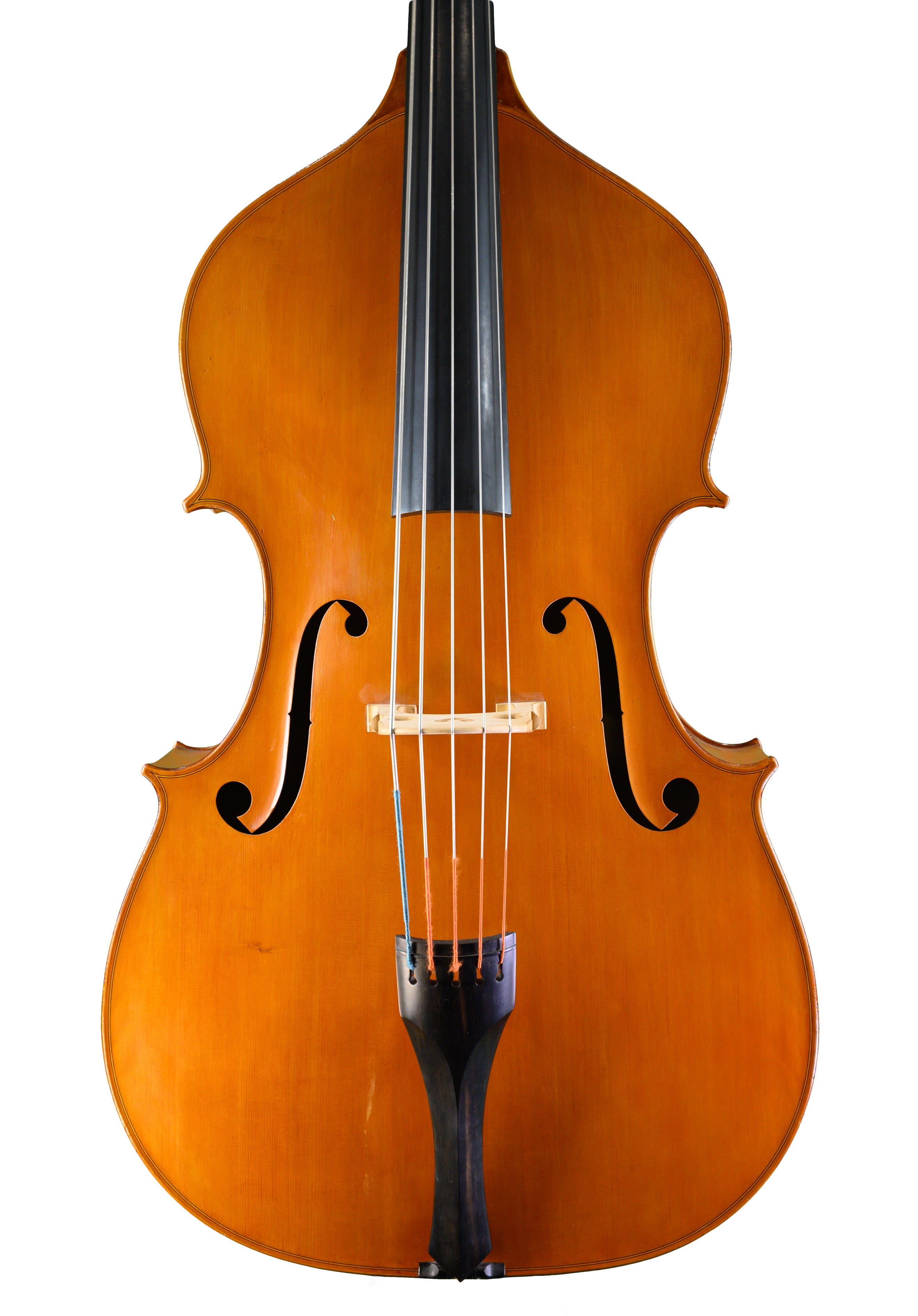 5 string upright bass