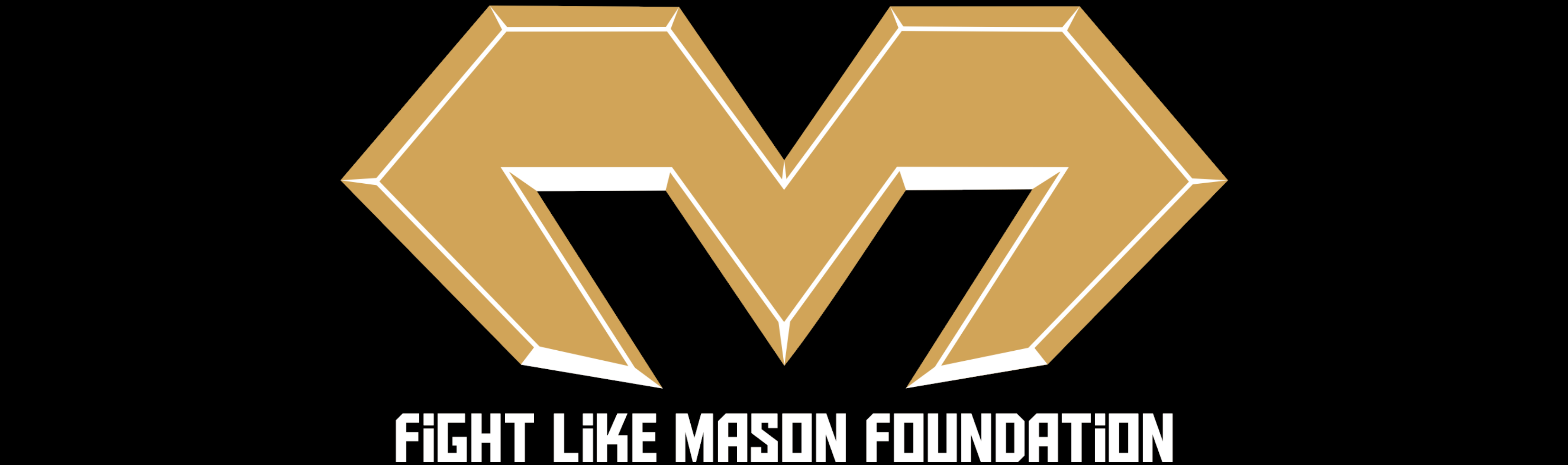 Fight Like Mason