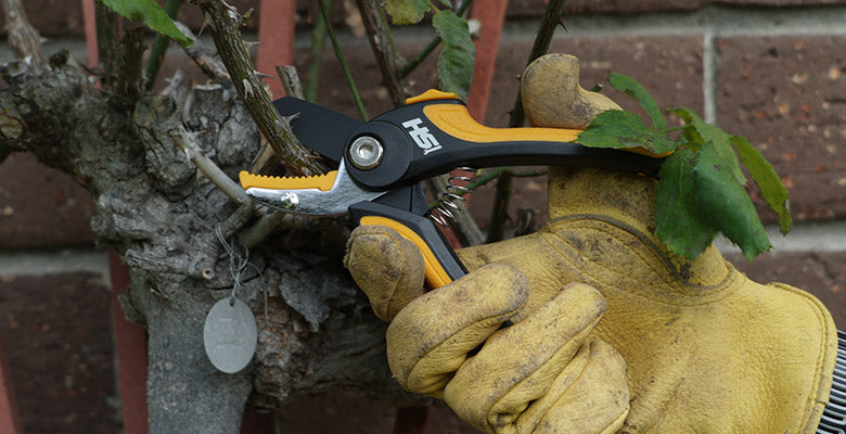 THIS CHEAP SHARPENING TOOL DOES THE JOB WELL.Garden Tool. How I Sharpen My  Pruners Secateurs 