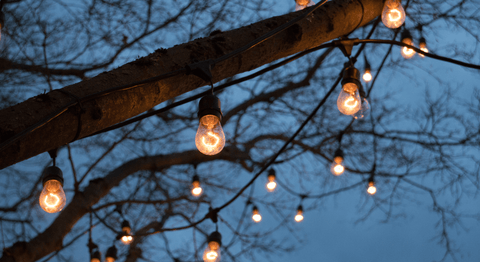 Eclairage dans un arbre