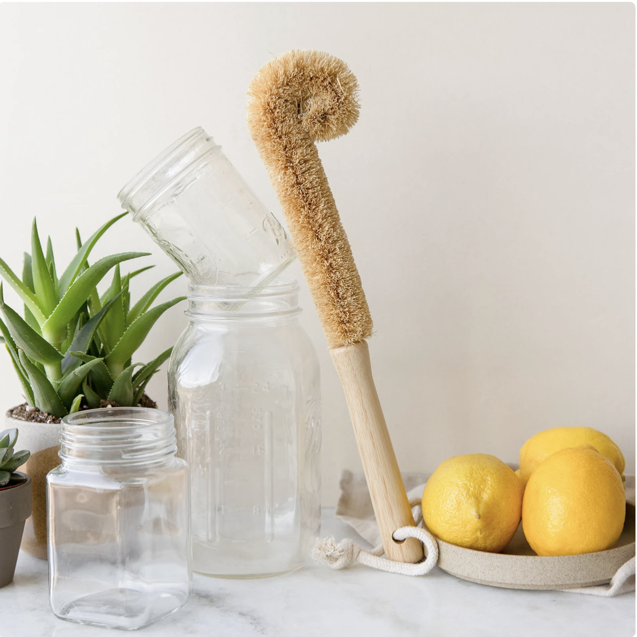 https://cdn.shopify.com/s/files/1/0101/0142/products/Bamboo_CoconutBottleBrush-Eco-friendly_Plant-based_SustainableCleaningBrush-EarthAhead-GoodsthatMatter-NewOrleans.png?v=1658971610