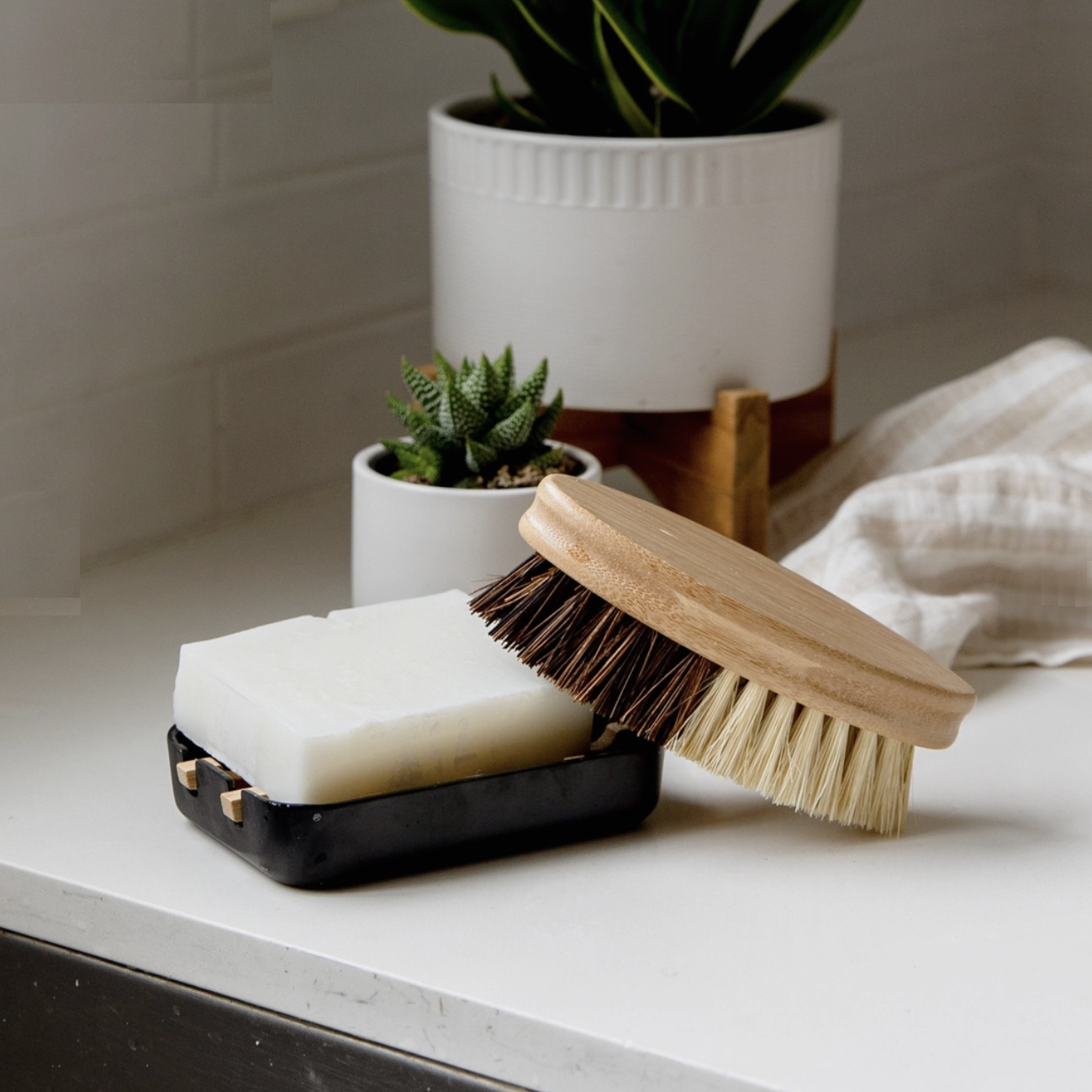 ecoLiving Dish Brush Holder - Ecosplendo Online Shop International