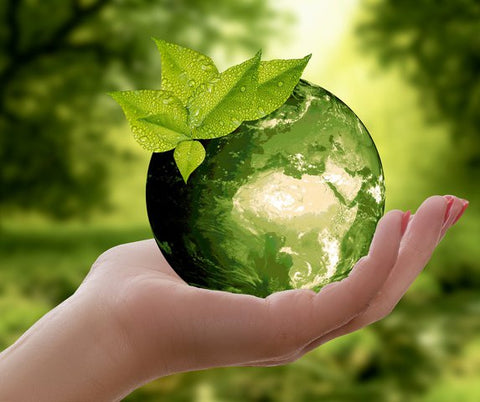Eco Friendly Ethos