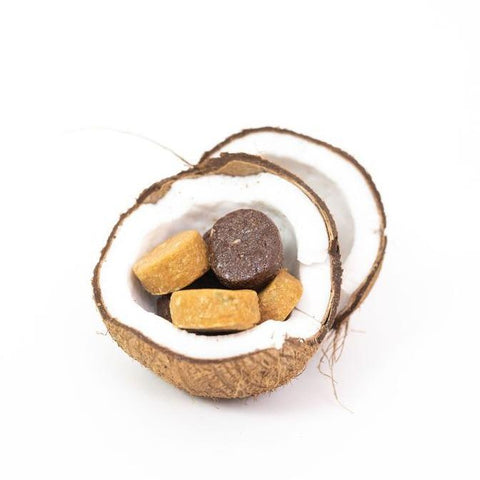 half coconut with inner hair nutrition bites sitting inside, no packaging