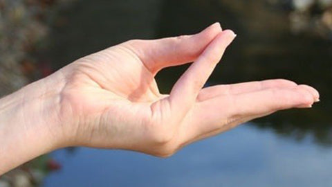 varun-mudra