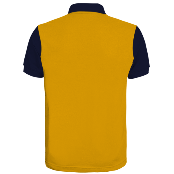 Custom Polo Shirt (PS06)