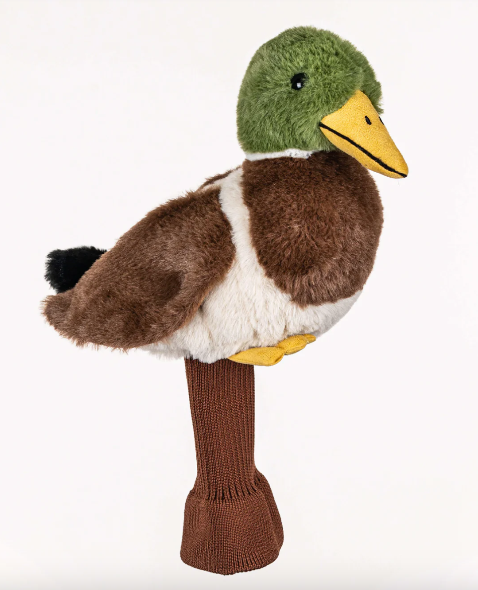 Mallard Duck