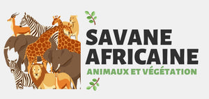 Savane Africaine Animaux Végétation Monde éléphant